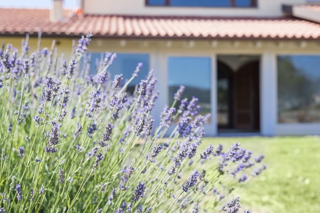 Agriturismo Terre Di Castiglione Castiglione della Pescaia Exteriér fotografie