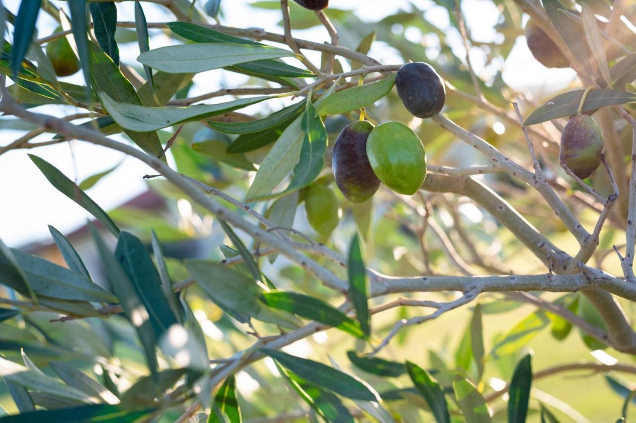 Agriturismo Terre Di Castiglione Castiglione della Pescaia Exteriér fotografie