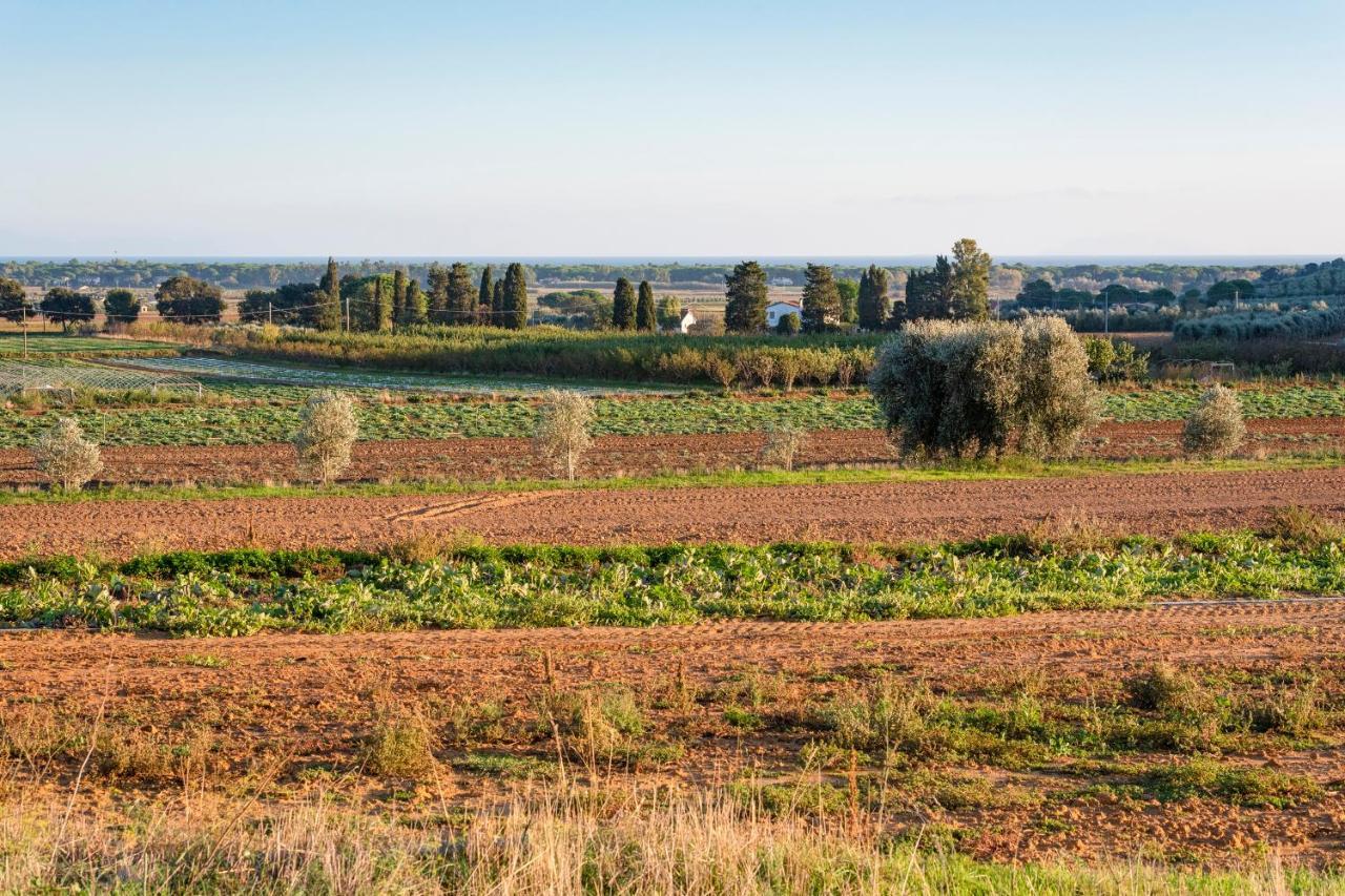 Agriturismo Terre Di Castiglione Castiglione della Pescaia Exteriér fotografie