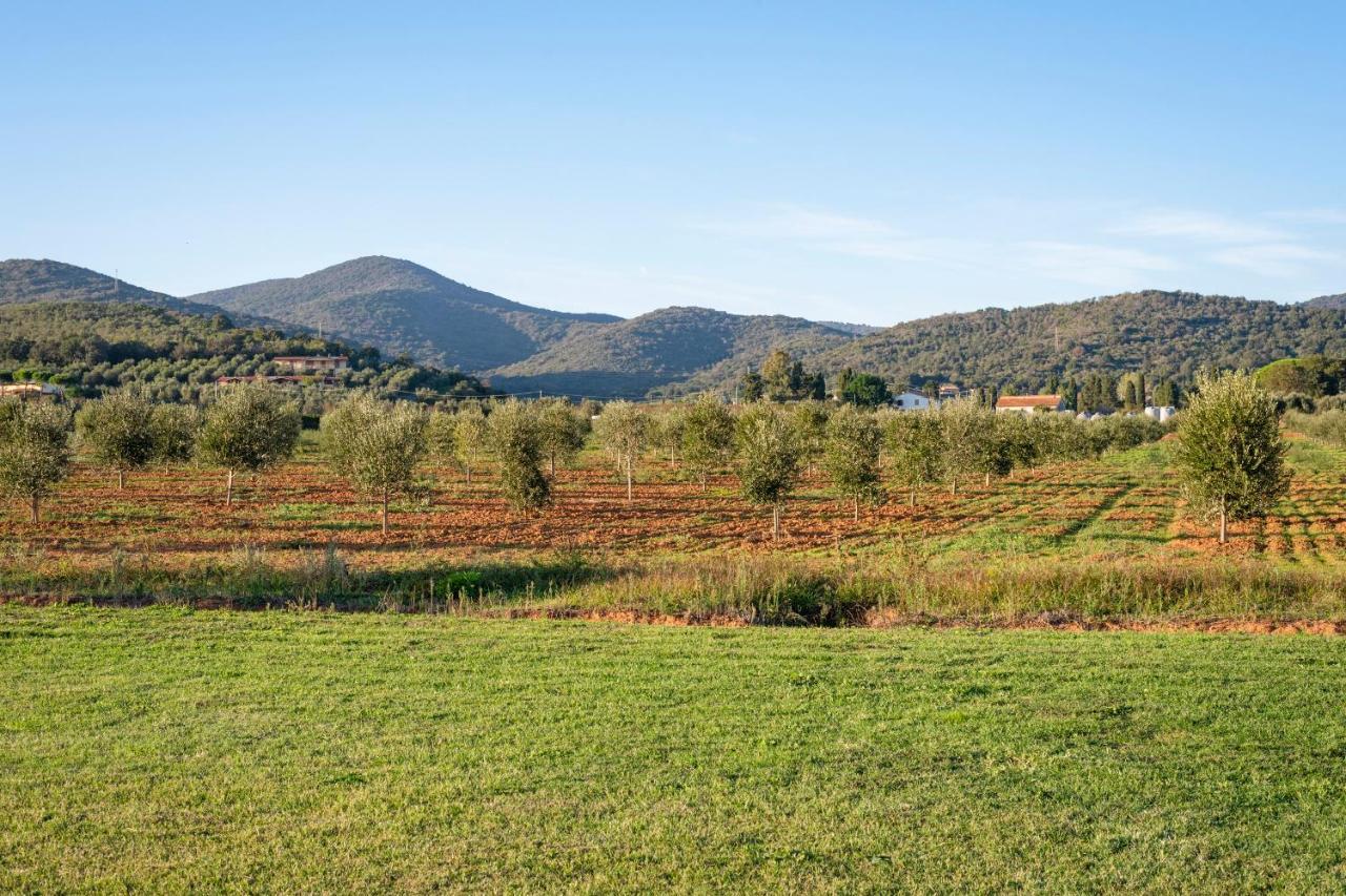 Agriturismo Terre Di Castiglione Castiglione della Pescaia Exteriér fotografie