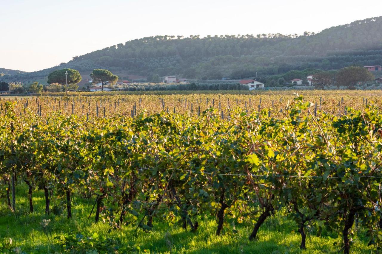 Agriturismo Terre Di Castiglione Castiglione della Pescaia Exteriér fotografie