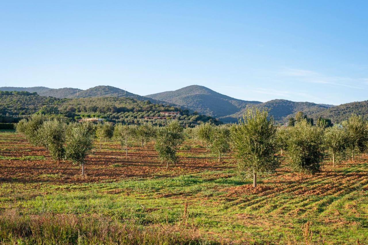 Agriturismo Terre Di Castiglione Castiglione della Pescaia Exteriér fotografie